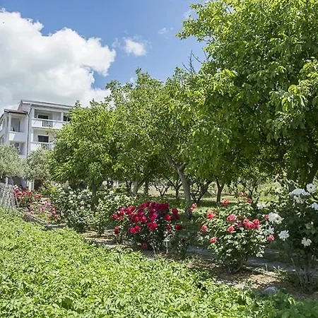 Apartament In With Sea View, Balcony, Air Conditioning, Wifi Pakoštane